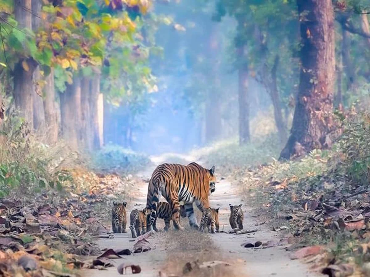 692c83a2e9b56ad2f089eead