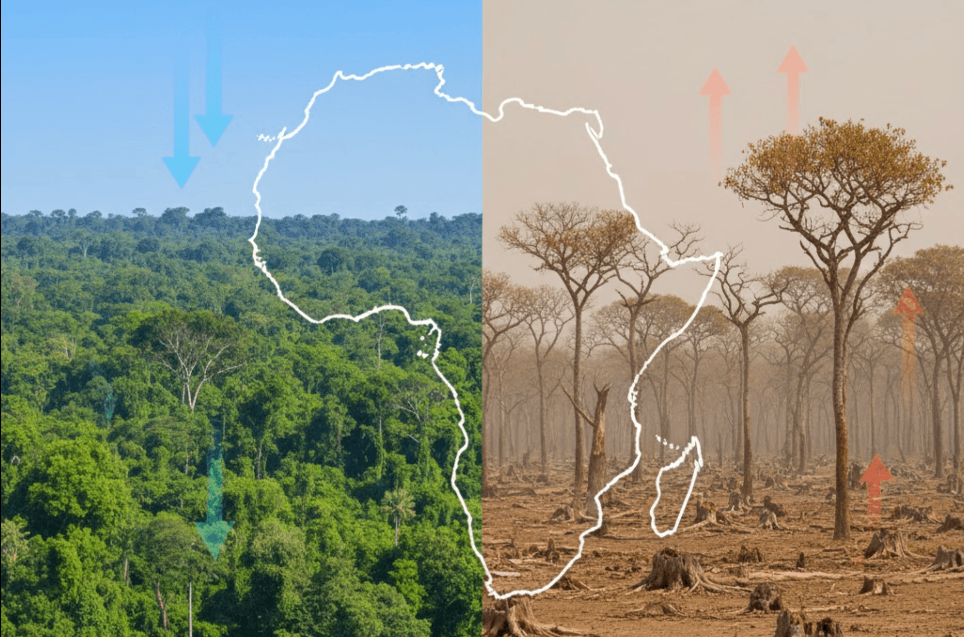 692c86fae9b56ad2f089eedd