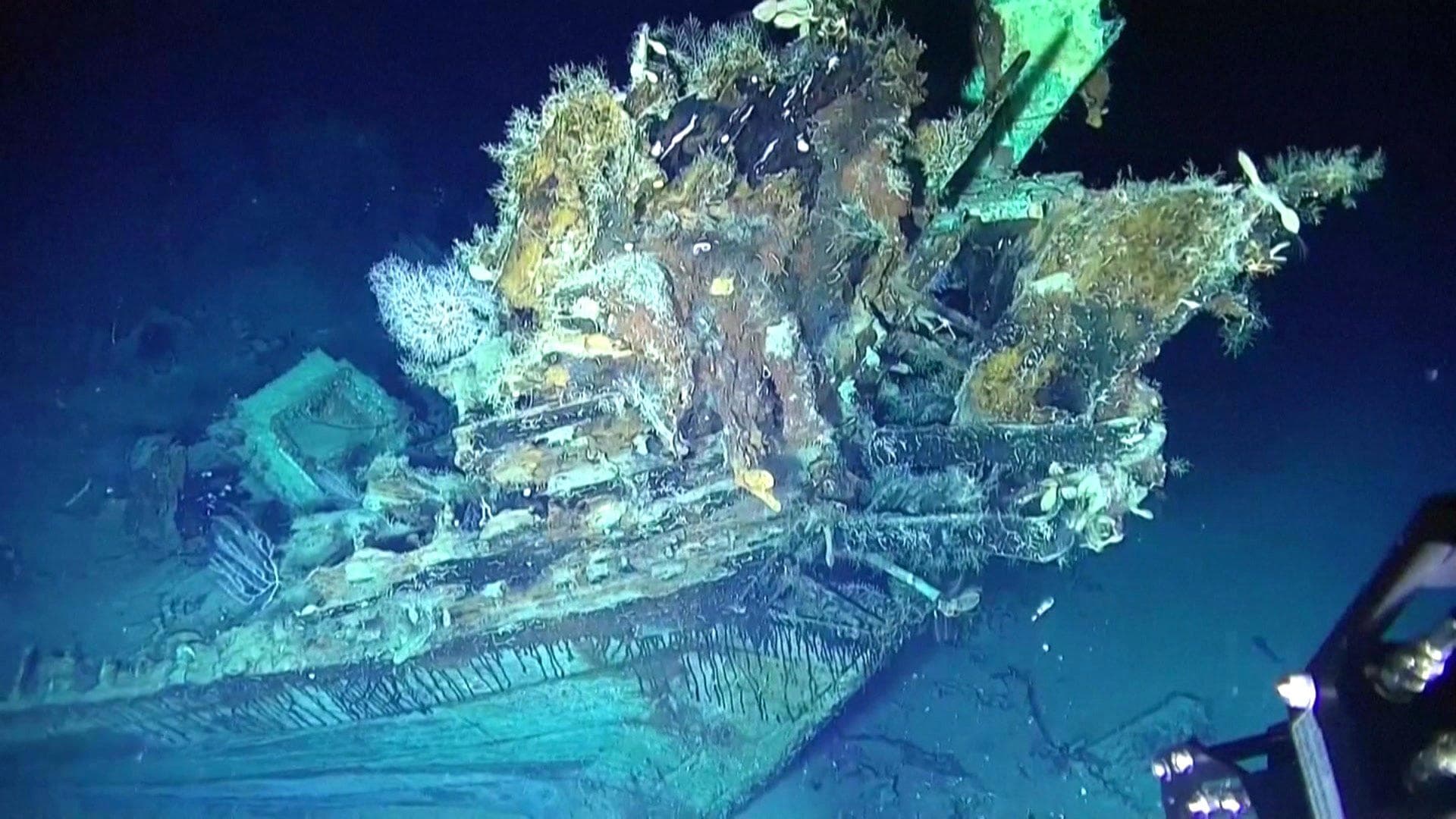 Discovery of San José Shipwreck Treasures