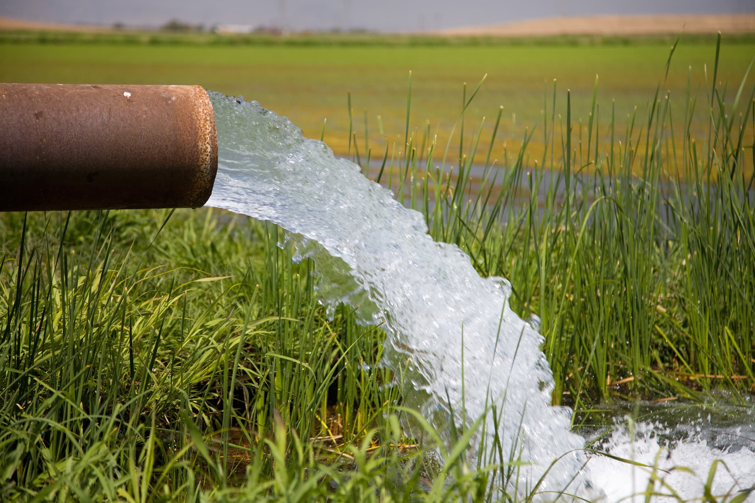 Spring Census for Groundwater Management