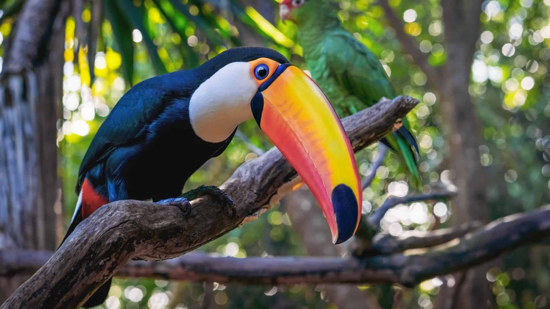 699528771242bd1300a06380