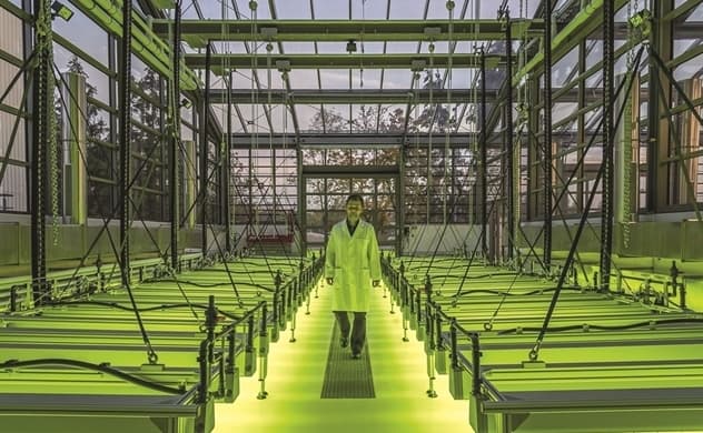 India's First Microalgae Air Purification