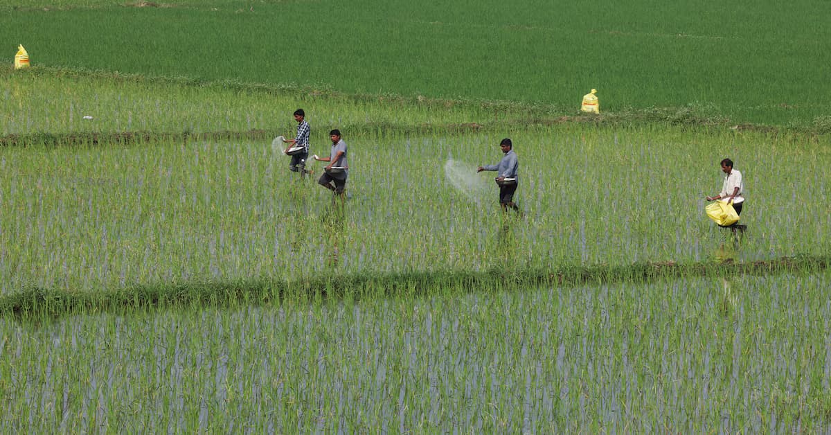Ceasefire and India's Fertilizer Crisis