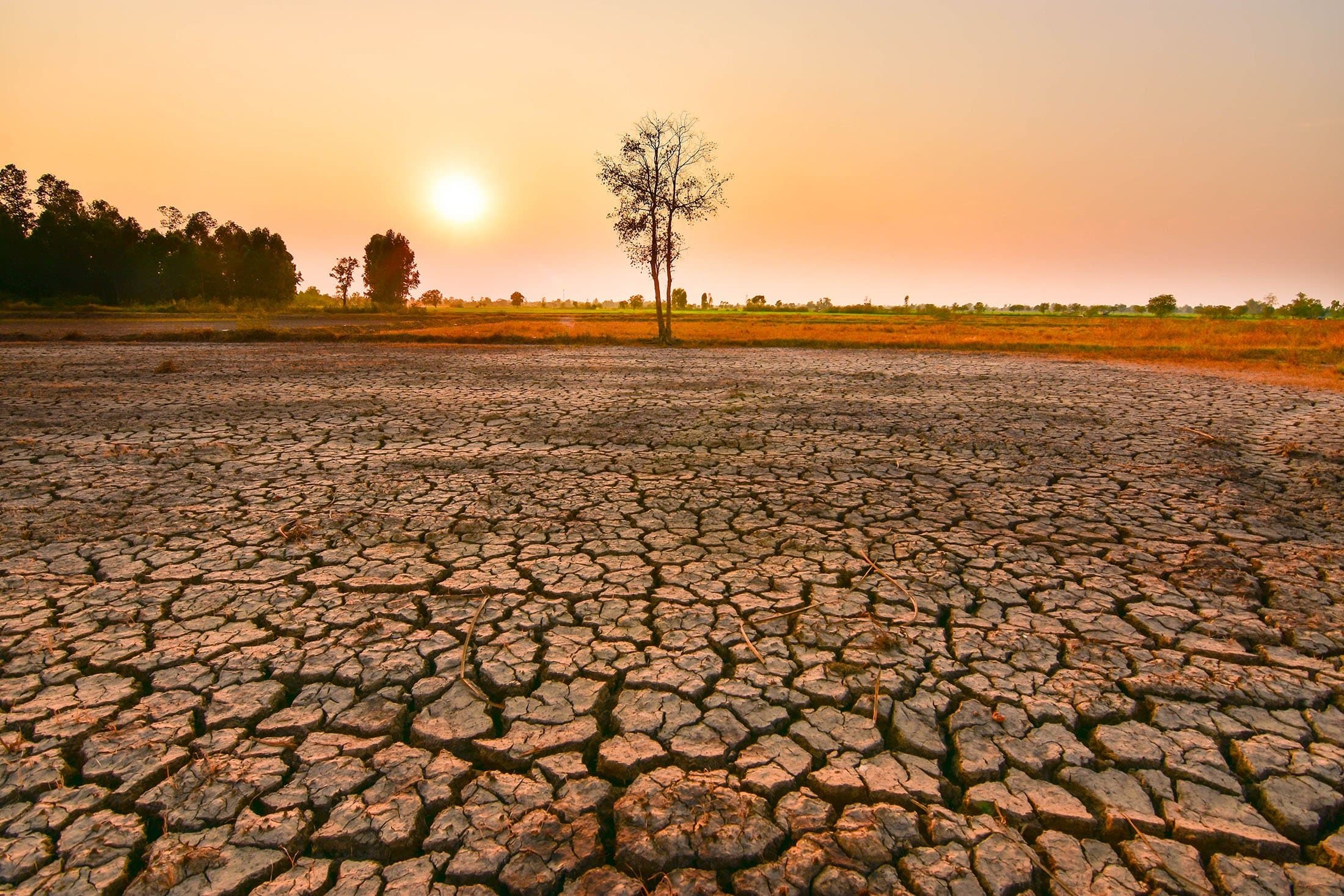 India's Monsoon Forecast Amid El Nino