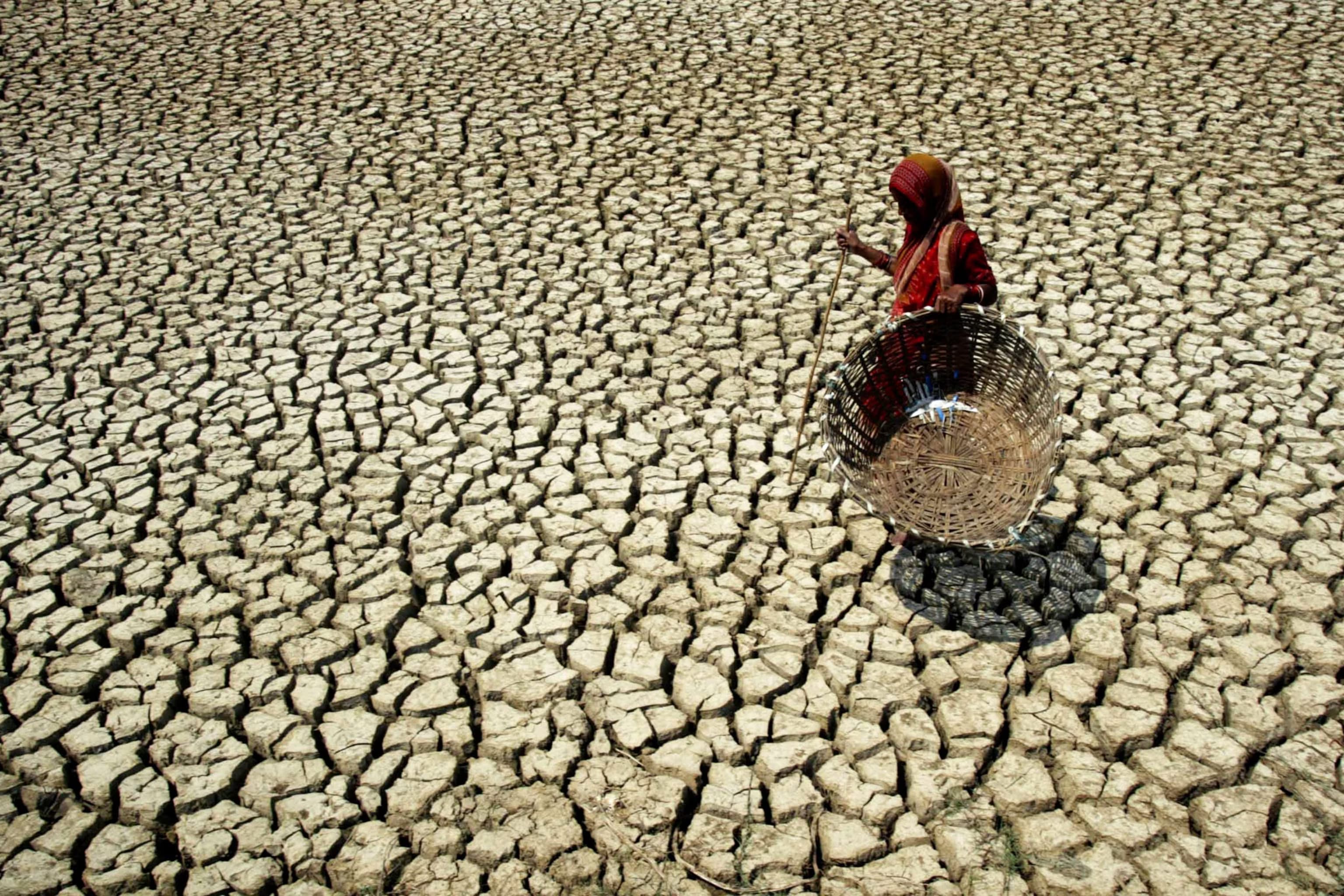 Extreme Heat Crisis in India