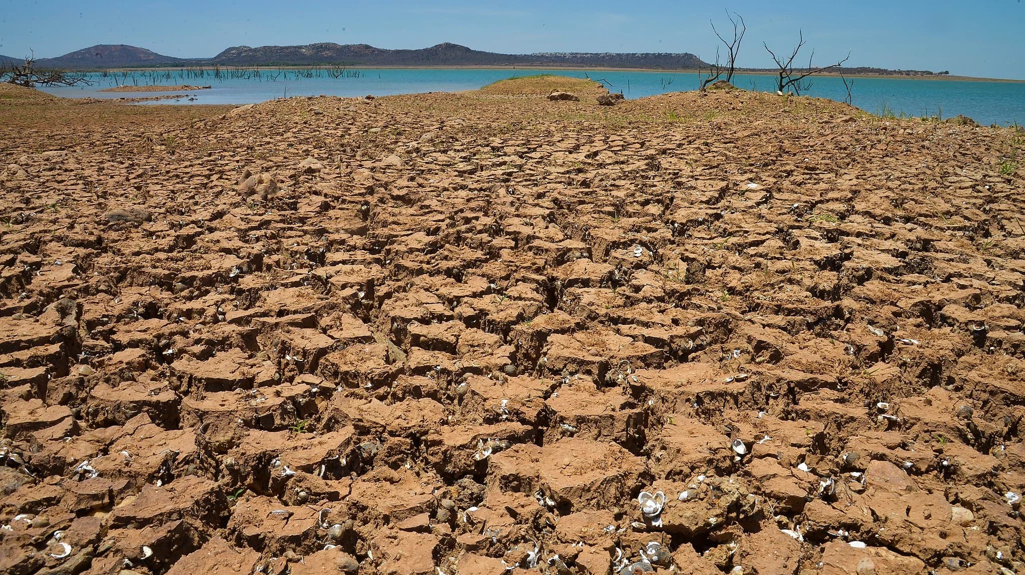 India's Climate Vulnerability and Strategies