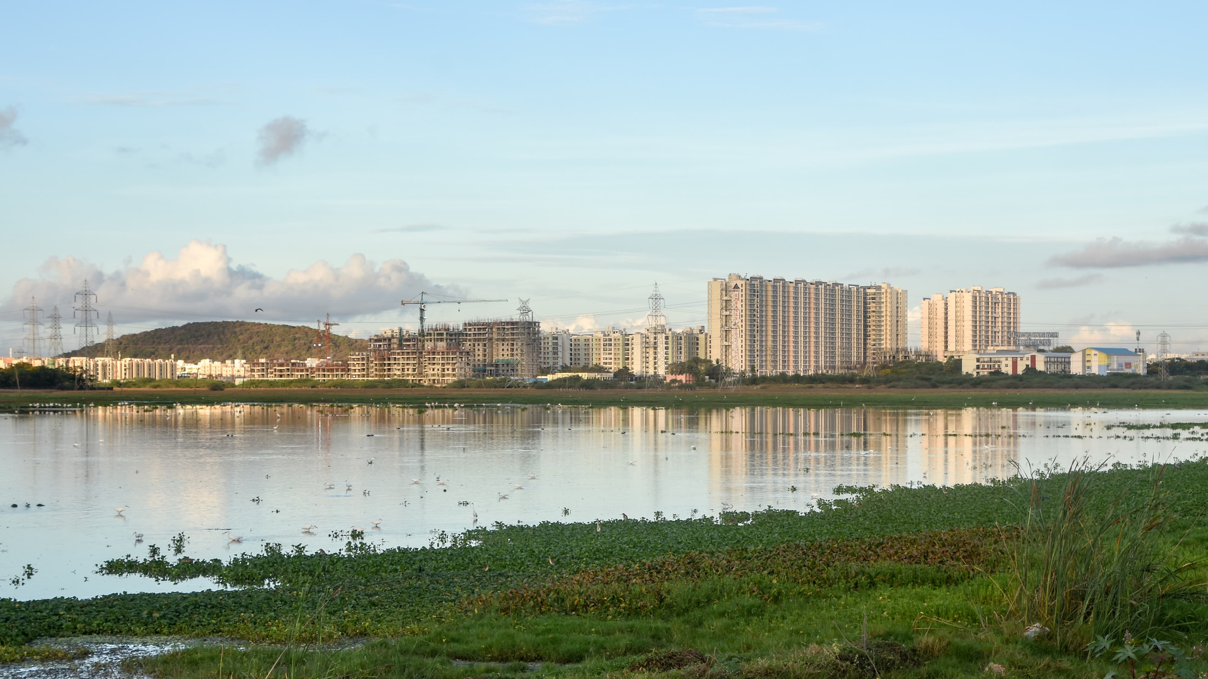 Pollution in Pallikaranai Marshland
