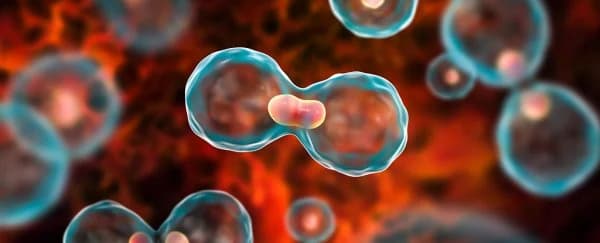 Cervical Cancer and Global Initiatives