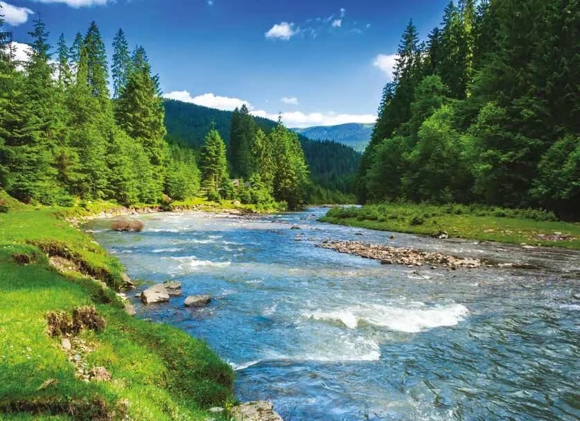 Environmental Statistics FAQ 2026 Released