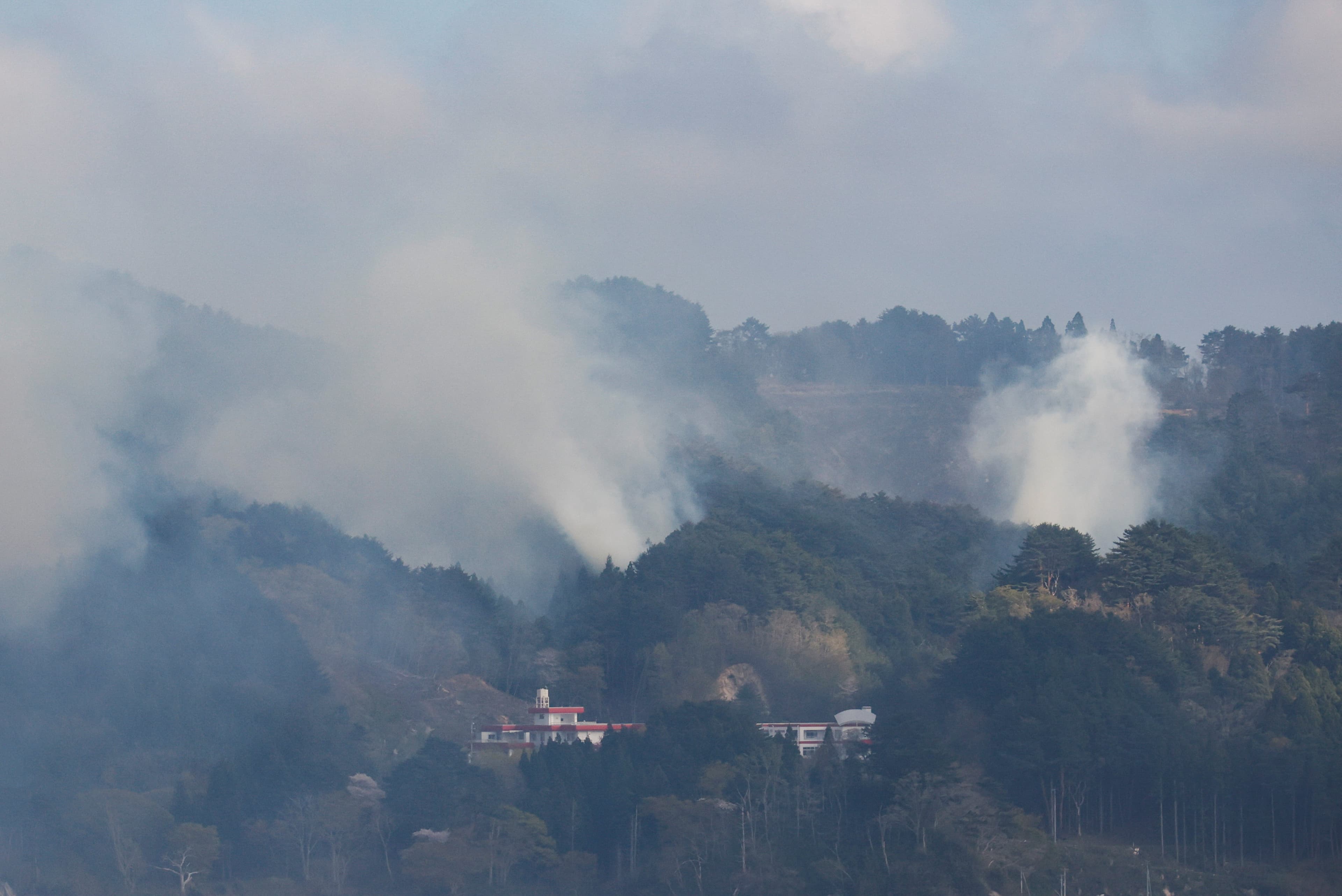 Wildfires Crisis in Nilgiris District