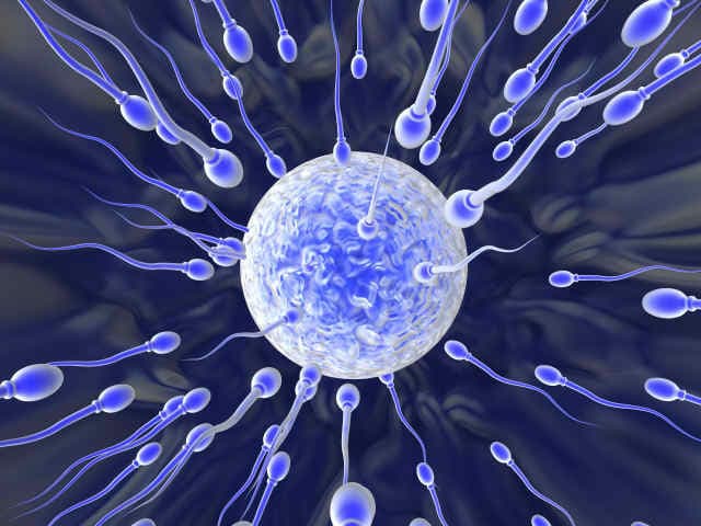Supreme Court Upholds Reproductive Autonomy