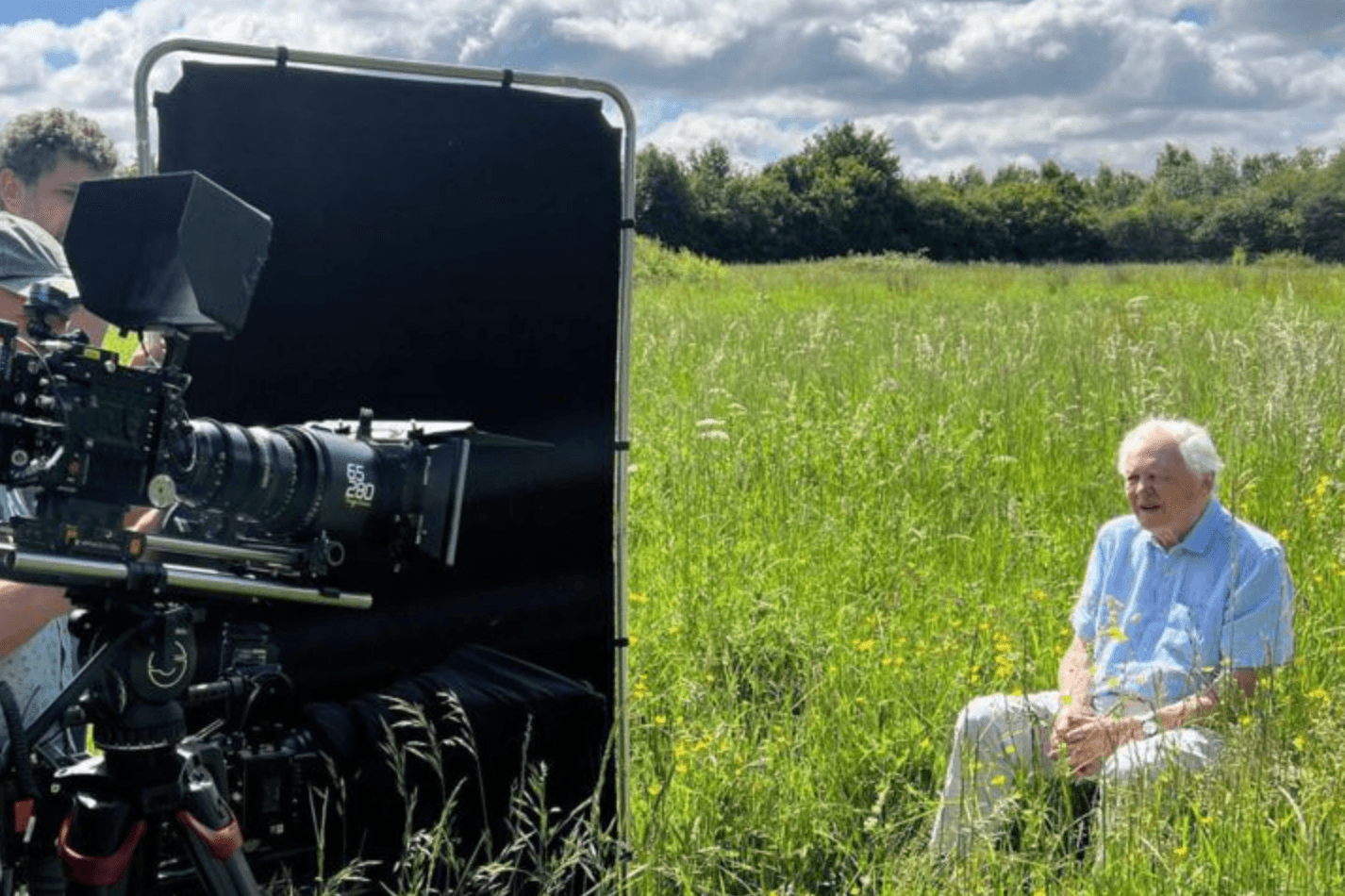 Celebrating David Attenborough's Legacy