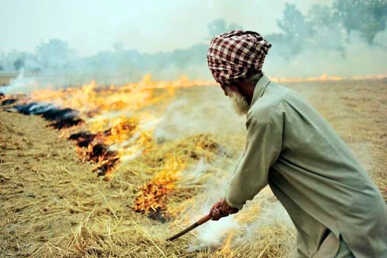 Review of Crop Residue Management Plans