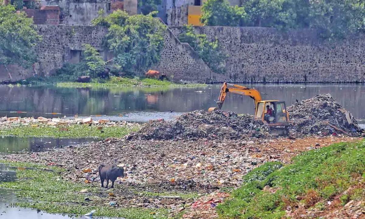 Urbanization and Cooum River Pollution