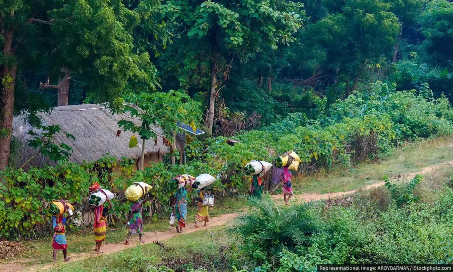 Controversy Over Great Nicobar Project