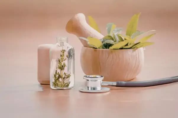 Strengthening Digital AYUSH Services Collaboration