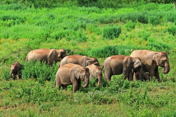 Jharkhand's Sanctuary Notification Controversy