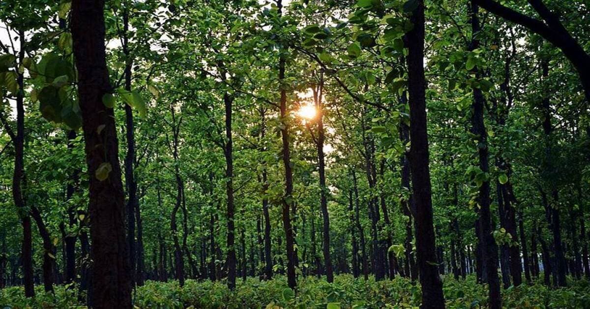 Supreme Court's Directive on Saranda Forests