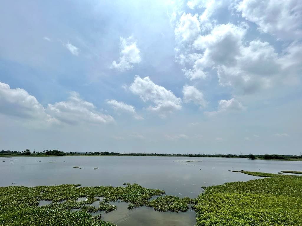 Kadapakkam Lake Ecosystem Restoration Project