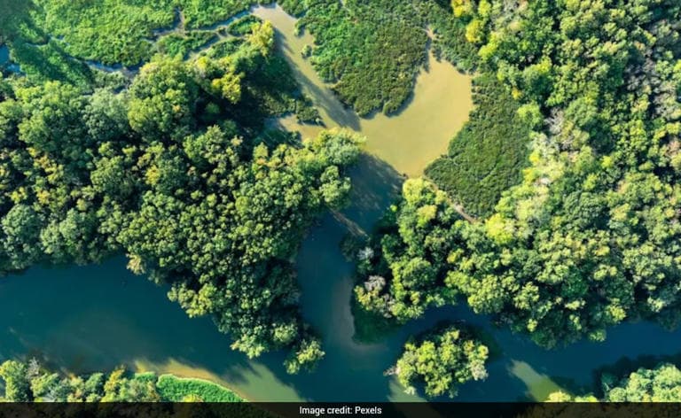 National Biodiversity Authority Funding Overview