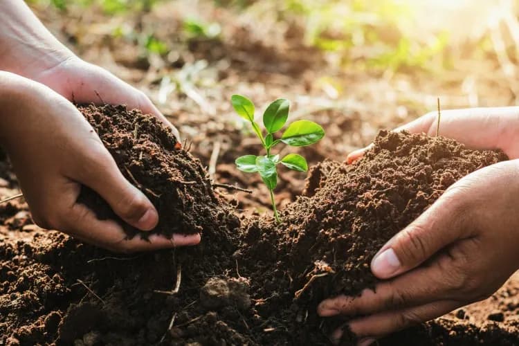 National Soil Conservation Campaign Launched