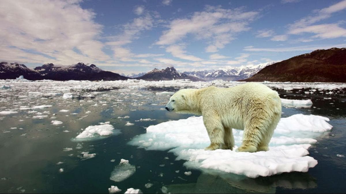 Climate Change Assessment Highlights Warming Trends