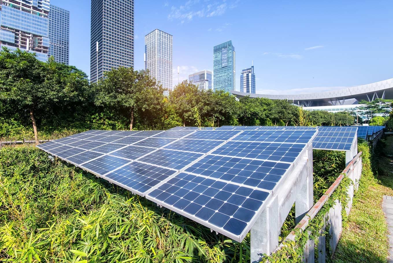 India's Energy Transition and Policy Framework