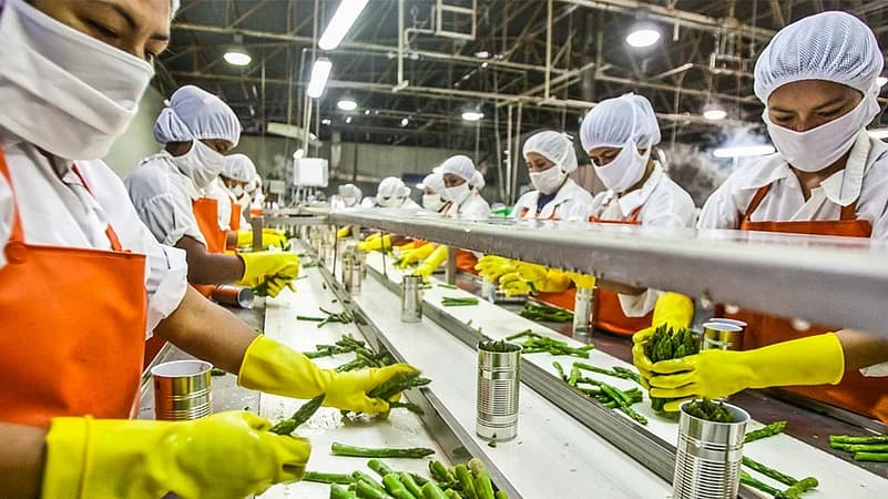 Government Boosts Food Processing Sector