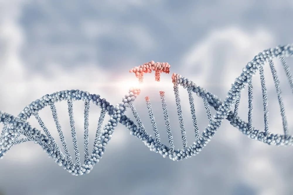 National Advisory Board on Genetic Resources