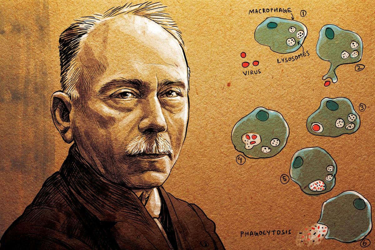 Jules Bordet's Immunology Breakthroughs