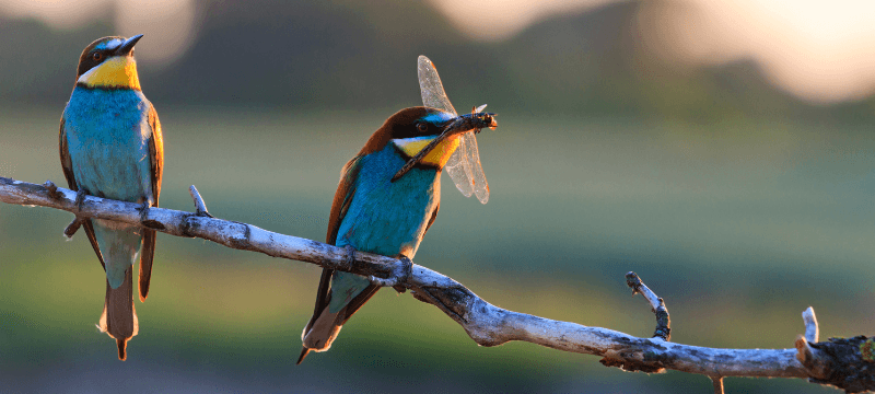 692c8673e9b56ad2f089eed5