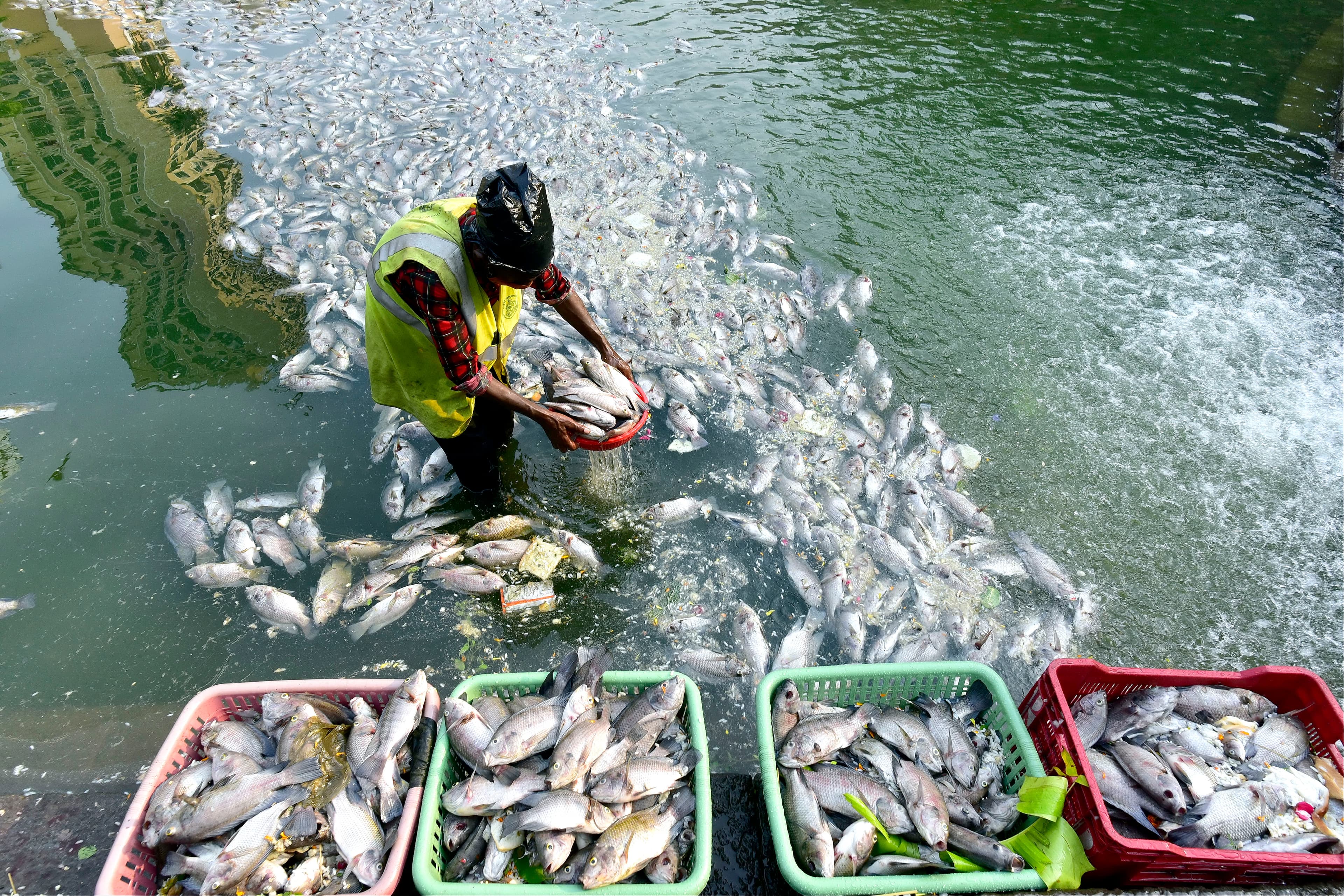 PM-MKSSY Aims for Fisheries Development