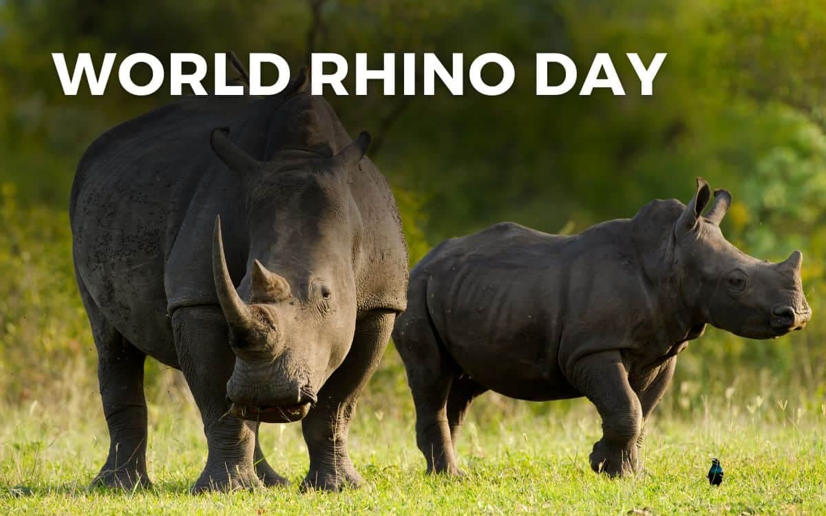 Prime Minister Celebrates World Rhino Day