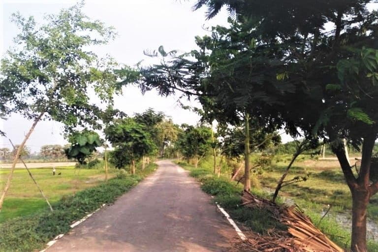 Bihar Forest Department Road MoU